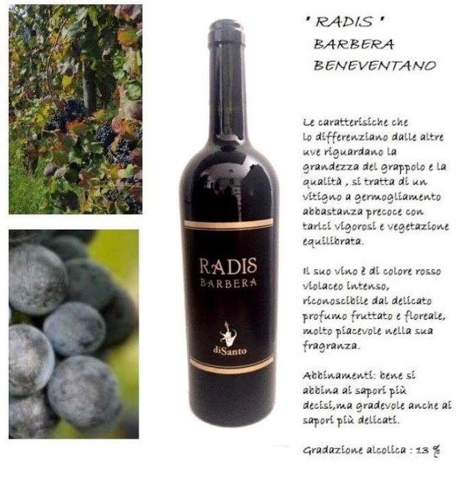 RADIS BARBERA IGT BENEVENTANO 2